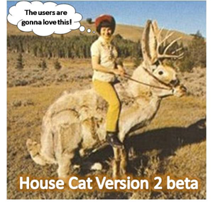 house-cat-version2